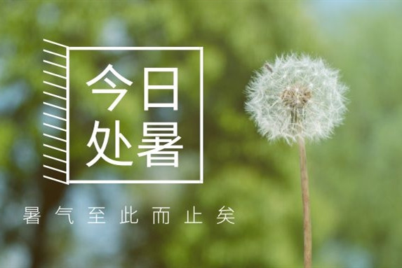 【衡陽通用電纜】處暑不是暑，秋涼知我意